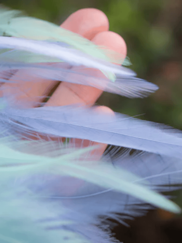 Large Ombre White Indigo Dreamcatcher with Turquoise Beads and Feathers