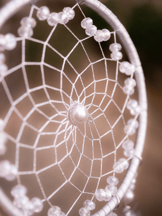 Silver Webbed Dreamcatcher with Purple Feathers and Clear Beads