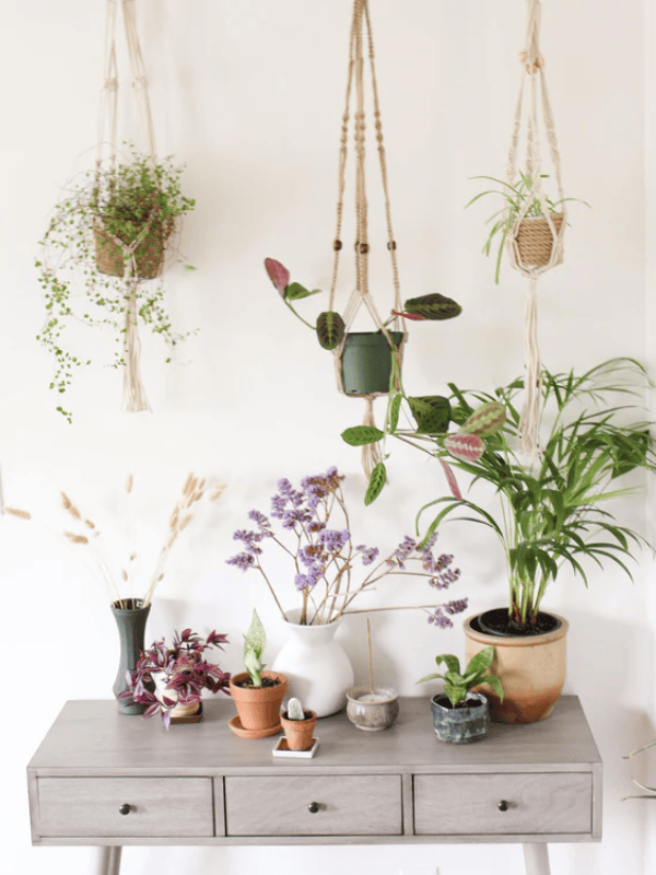 White Macrame Plant Hanger with Geometric Patterns and Tassels