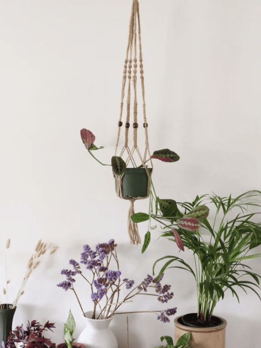 Natural Macrame Plant Hanger with Geometric Patterns and Tassels