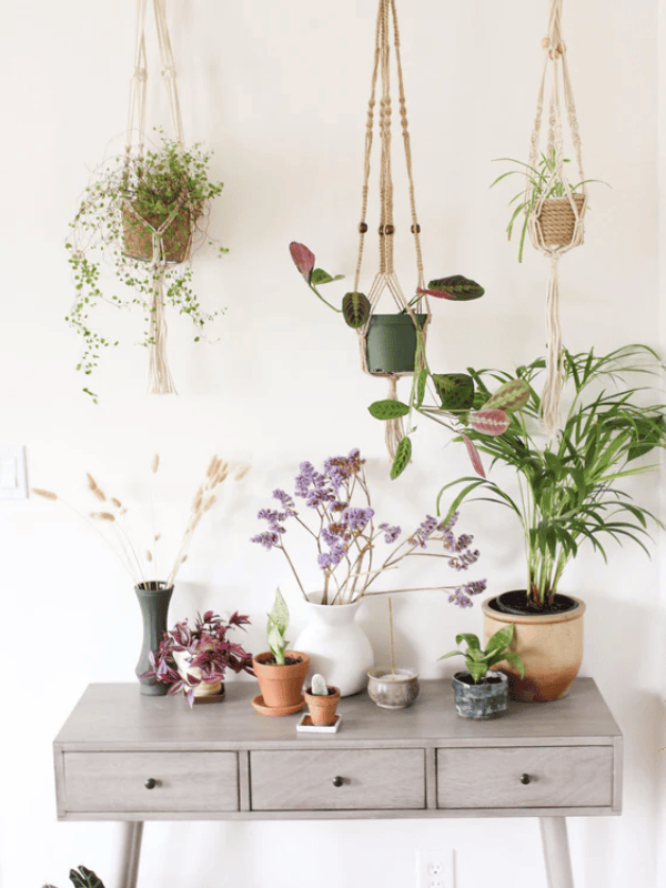 Natural Macrame Plant Hanger with Geometric Patterns and Tassels