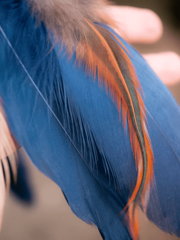 Bright Blue Feather Dreamcatcher with Beads and Wall Hanging