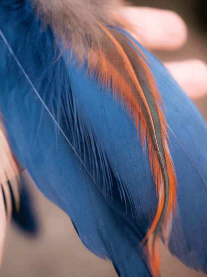 Bright Blue Feather Dreamcatcher with Beads and Wall Hanging