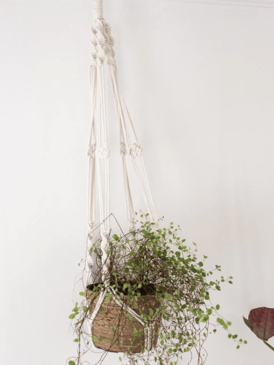 White Macrame Plant Hanger with Geometric Patterns and Tassels