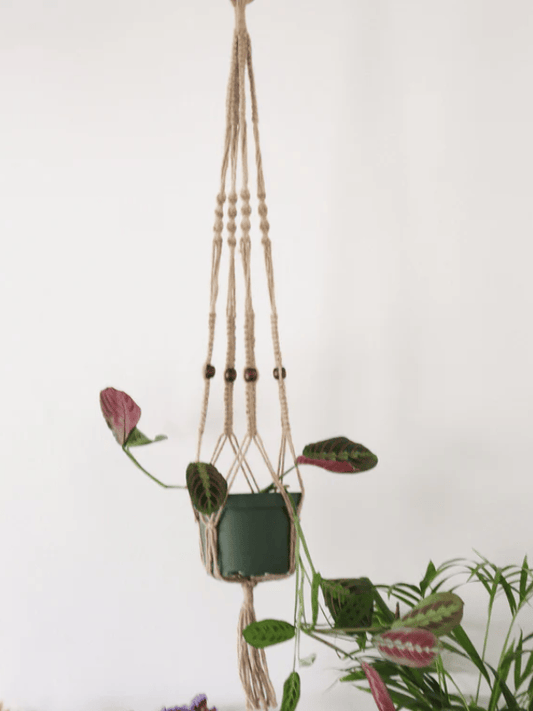 Natural Macrame Plant Hanger with Geometric Patterns and Tassels