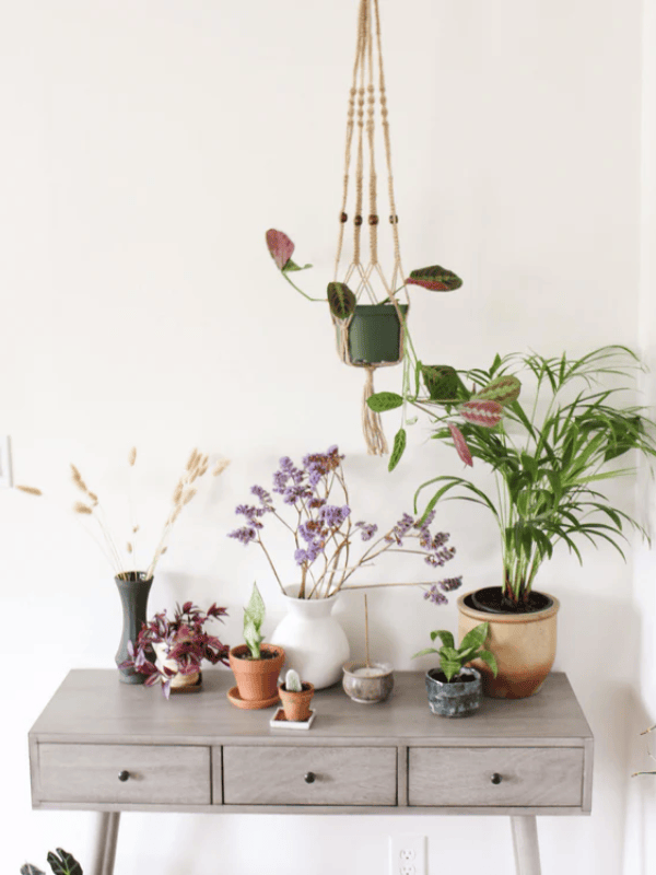 Natural Macrame Plant Hanger with Geometric Patterns and Tassels