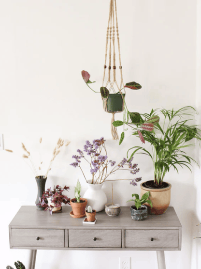 Natural Macrame Plant Hanger with Geometric Patterns and Tassels